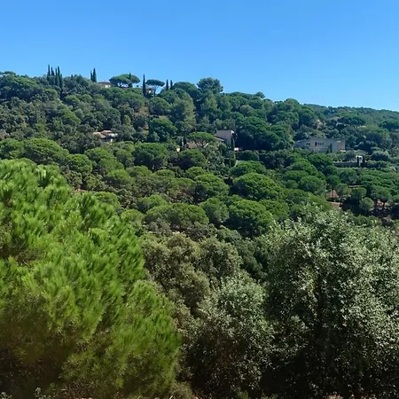 Privat bolig Le Mas De L'olivier La Croix-Valmer